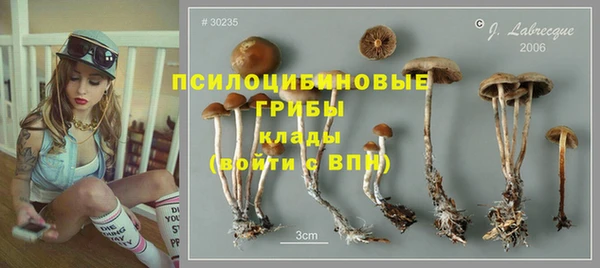 PSILOCYBIN Пестово