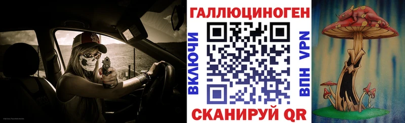 Галлюциногенные грибы Psilocybine cubensis  что такое   Борзя 